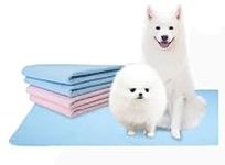 Washable Reusable Pee Pads for Dogs | XL (39" x 31") 2-Pack Blue, Pink | 100% Waterproof & Extra Absorbent | Large Non-Slip Puppy Pads | Pet Training & Housebreaking | Incontinence & Whelping Solution