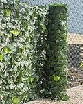 Woodside Artificial Ivy Leaf Garden Fence/Wall Privacy Screening Hedge