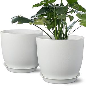 Plant Pots