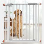 Petsmart Dog Doors