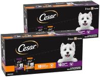 Cesar Filets in Gravy Wet Dog Food Filet Mignon Flavor and Rotisserie Chicken Flavor Variety Pack, 1.76 oz. Mini-Pouches, 20 Pack (Pack of 2)