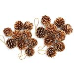 18 Pieces Christmas Natural Pine Cones Decoration,with String Golden Pinecone Christmas Tree Hanging Ornament for Wreath Garlands Decoration Dried Floral Arrangements Gift Tag Christmas