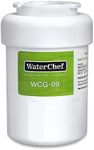 WaterChef WCG-09 Premium Refrigerator Water Filter Cartridge Replacement, Fridge Filter for GE MWF, GWF, MWFA, GWFA, GW06, Hotpoint HWF, HWFA