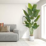 ZEEOZE Artificial Bird of Paradise Plant 230cm Tall Fake Tropical Palm Tree Large Fake Plants with White Pot Large Faux Plants for Indoor with 18 Silk Banana Leaves for Home Bedroom Living Room Office