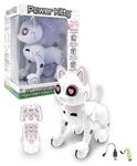 Lexibook - Power Kitty® - Remote Control Robot Cat, Programmable Smart Robot, Light, Sound, White/Pink - KITTY01