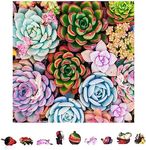 ZenChalet - Succulent Sensation 500 Piece Jigsaw Puzzles - Unique Gift Wooden Jigsaw Puzzles for Adults, Perfect Rompecabezas para Adultos 500