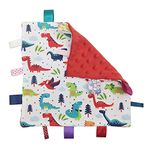 Inchant Baby Security Blanket with Tags - Soft Appease Towel for Newborn Toddlers (Dinosaur Pattern)