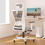 Dripex Ergonomic Office Chair, High Back Desk Chair, Computer Mesh Chair with Lumbar Support, Adjustable Headrest & 2D Armrest, 90°-135°Tilt Function, 360° Swivel Home Office Task Chair, White