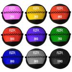 FXR Sports Strength Premium Wall Medicine Balls (2kg-10kg Available) (10kg (Black))