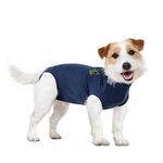 MPS Medical Pet Shirt Dog, Surgery Recovery Suit, Blue, XXX-Small