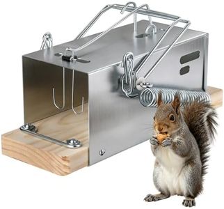 Squirrel T