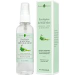 Eucalyptus & Wild Mint Room and Linen Spray, Natural Aromatic Mist Made with Pure Eucalyptus & Wild Mint Essential Oils, Refreshing Air Freshener Odor Eliminator Positive Essence