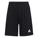 adidas Unisex Kids Ent22 Y Shorts, Black, 13-14 Years UK