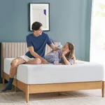 Zinus Queen Mattress - 12 Inch Gree