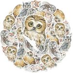 25 PCS Owl Stickers Pack - Mystical Bird Decals for Nature Enthusiasts, Crafting, and Personalizing Gear