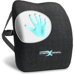 Lumbar Pillow-100% Memory Foam Lumbar Wheel Chair Cushion-Adjustable Strap/Carry Bag- Orthopedic Lumbar Support Pillow-Car Office Chair-Hypoallergenic Bamboo Washable Mesh Cover-Lower Back Pain Relief