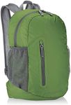 Amazon Basics Lightweight Packable Hiking Travel Day Pack Backpack - 17.5 x 17.5 x 11.5 Inches, 25 Liter, Green