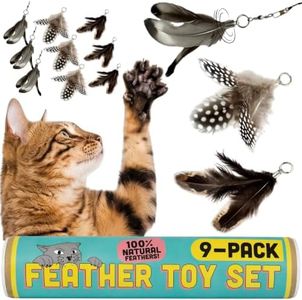 repounce Feather Toys Replacements (9 Pc) - Cat Toys & Kitten Toys for Indoor Kittens, Set of Replacement Feather Attachments Extra Small and Durable, for Cat Wands, Natural and Safe