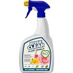 AMK® Rose Clear Plant Shield Spray Pesticide Free Plants Protection Bug Insect Fungus Control 800ml Black Spot Rust Mildew Greenfly Whitefly Blackfly