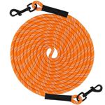 Taglory Training Lead for Dogs 15 m, Reflective Long Dog Rope Tie Out, Dog Tether for Small Medium Large Dogs, Orange