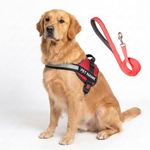 PAYTON PERRY Customized Dog Harness with Leash | Dog Harness with Name | Personalized Dog Vest Harness, No Pull, Adjustable (L, Red, for 24-35K Kilograms Dogs)