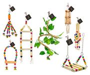 PETZOO Combo of 7 Bird Toys Bird Ladder, Swing and Cage Hangings Accessories, Resting Toy & Wooden Training Aid for Bird & Parrots