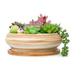 ARTKETTY Succulent Plant Pots - 18.5CM Large Bonsai Pot with Drainage Tray, Shallow Succulent Planters for Indoor Plants Decorative Flower Cactus Planter Bowl