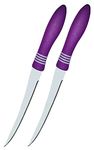 Sorzy Carving Knife for Kitchen Vegetable Cutting, Serrated Edge, Multicolor, Set of 2