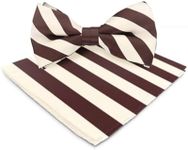 Vittorio Farina Striped Bow Tie & Pocket Square Set (1578 Ivory & Brown)