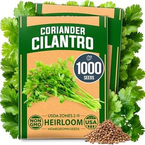 HOME GROWN 1000+ Cilantro Seeds for Planting Indoors or Outdoors - Non-GMO Heirloom Herbs, Coriander Plant Seeds - Complete Your Herb Seeds Collection for Your Indoor Herb Garden
