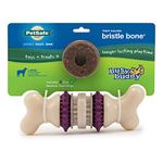 PetSafe Busy Buddy Bristle Bone Chew Toy for Dogs – Strong Chewers – Helps Clean Teeth –Purple, Large