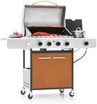 Captiva Designs 4-Burner Propane Ga