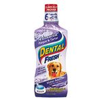 Pet Tooth Cleaning