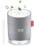 Humidifiers for Plants, 500ML Cool Mist Humidifiers, Mini Quiet Air Humidifier with Two Adjustable Mode and Night Light, Waterless Auto-Off, for Bedroom/Office/Baby Bedroom/Plants, Grey