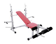 Lifeline 309 Multi Bench