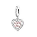 Generic 25th Years Charm Birthday Pandora Compatible Girl Gift 925 Sterling Silver For Sister, Daughter, Friend