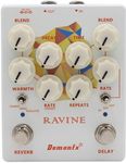 Rifftone Demonfx RAVINE Reverb Delay Numerous Set Options