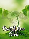 Plant A New Seed