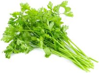 Coriander 1 bunch x 20 pack