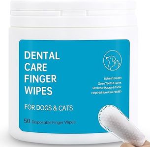 Dog Dental