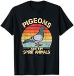 Pigeons ar