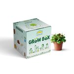 SATTVAMRIT Sattvishtik Grow Box Lettuce Vegetable Kit for Kids | Pack of 1 | Eco Friendly Gift for Kids | Beginner Gardeners | DIY | Easy Grow it Yourself Gardening Kit for Home & Garden