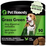 Pet Honesty Grass Green - Pee Grass Spot Saver Caused by Dog Urine, Gut Health Probiotics, Dog Urine Neutralizer for Lawn, Grass Burn Spot Chews, Cranberry, Apple Cider Vinegar, Dog Rocks (Duck 90 ct)