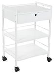 SKINACT Pro Single Drawer Cart Pro Medical Dental Mobile Utility Cabinet & Cart with Steel Frame and One Drawer