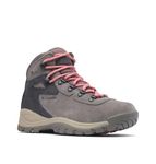 Columbia Women's Newton Ridge Plus Waterproof Amped Hiking Shoe, Stratus/Canyon Rose, 3 UK