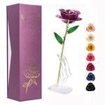 Ejoyous Gold Dipped Purple Rose with Stand, Long Stem Forever Preserved Rose Flower Her and Wife Mother Girlfriend on Valentine's Day Birthday Christmas Day Anniversary Mother Day