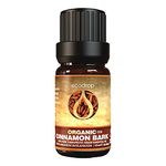 Ecodrop Cinnamon Bark Essential Oil - 10ml | 100% Natural Therapeutic Grade Indian Cinnamomum Zeylanicum Oil | Organic Aromatherapy Diffuser & Massage Oil for Mental Calm, Mood, Sore Muscles & Focus