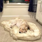 iHappyDog Luxury Faux Fur Orthopedic Dog Bed, Memory Foam Dog Bed​ for​ Small, Medium, Large and XL Pets, Fluffy Pet Rug with Waterproof ​& ​Washable Cover, Bone White, Medium 40x25inch