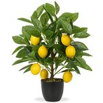 Hollyone 40CM Artificial Lemon Plant in Pot, Fake Potted Lemon Plant Decorative Faux Plants, Small Faux Lemon Tree for Bedroom, Living Room, Bathroom, Desk, Table, Kitchen, Home Decor