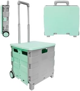 Berry 40L Foldable Shopping Trolley, Plastic Trolley Cart with 2 Wheels and Lid, Portable Cart with Telescopic Handle, Multipurpose Utility Cart for Shopping, Teacher - Mint Green and Grey